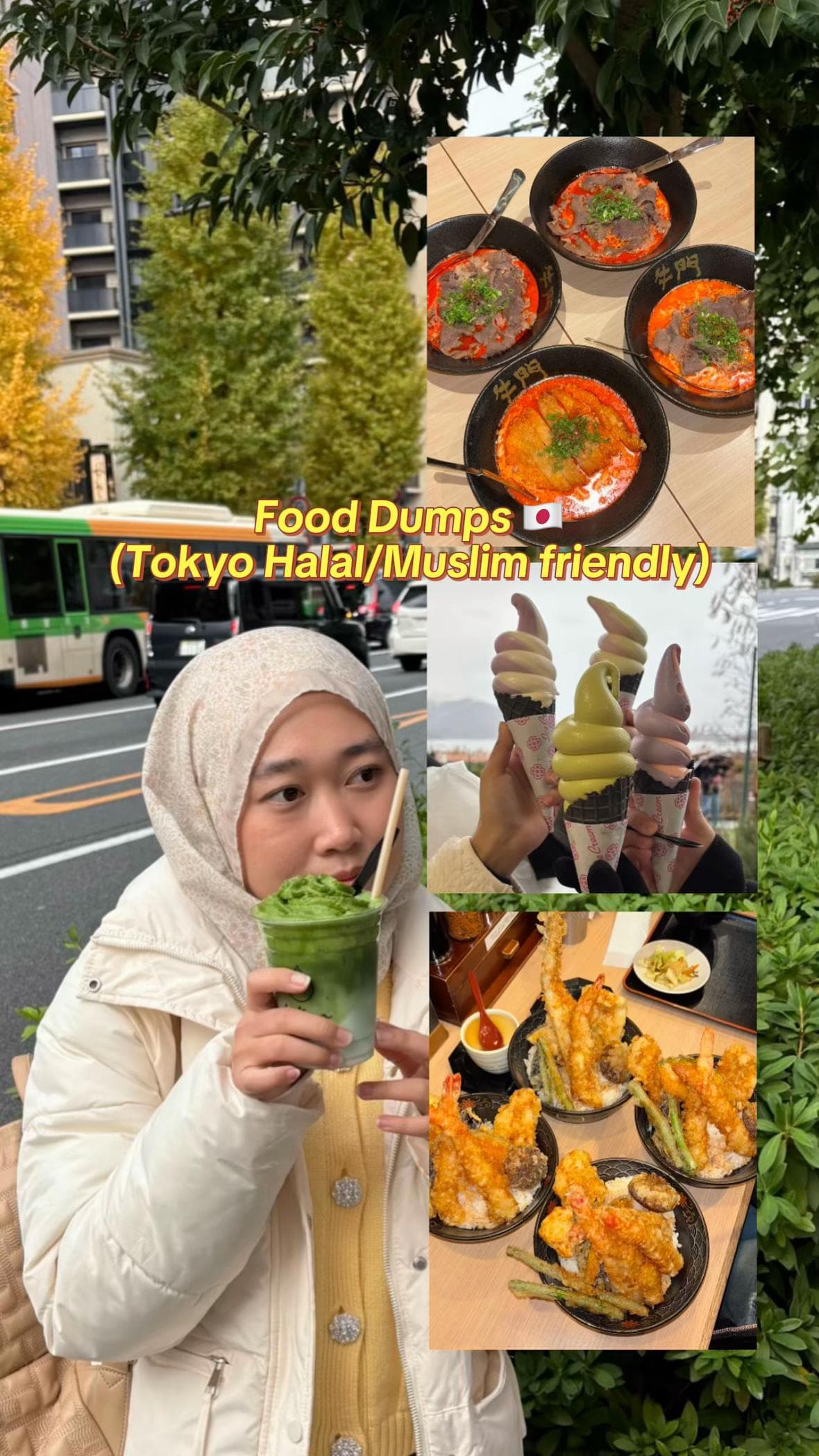 Halal Food and Attractions in Japan
