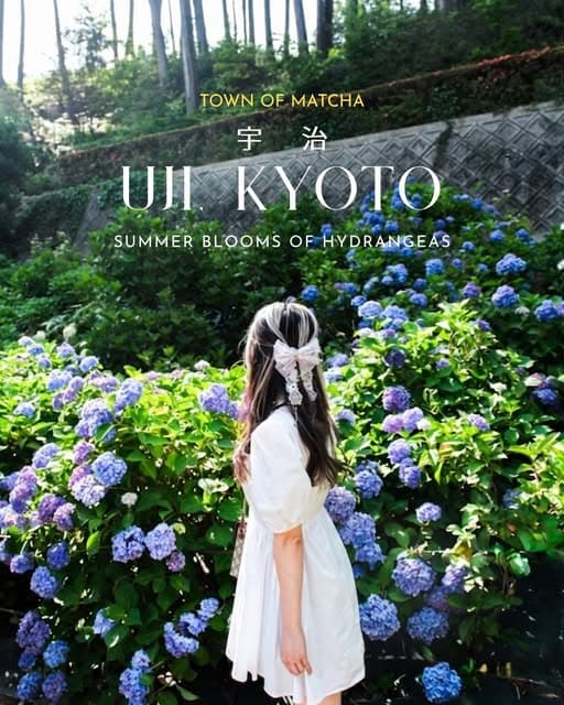 Uji's Summer: Matcha, Hydrangeas, and Cold Soba