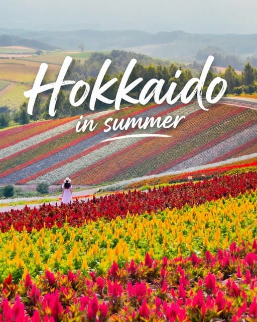 Hokkaido's Unforgettable Summer Road Trip Destinations