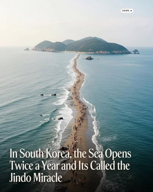South Korea's Jindo Sea Parting Festival