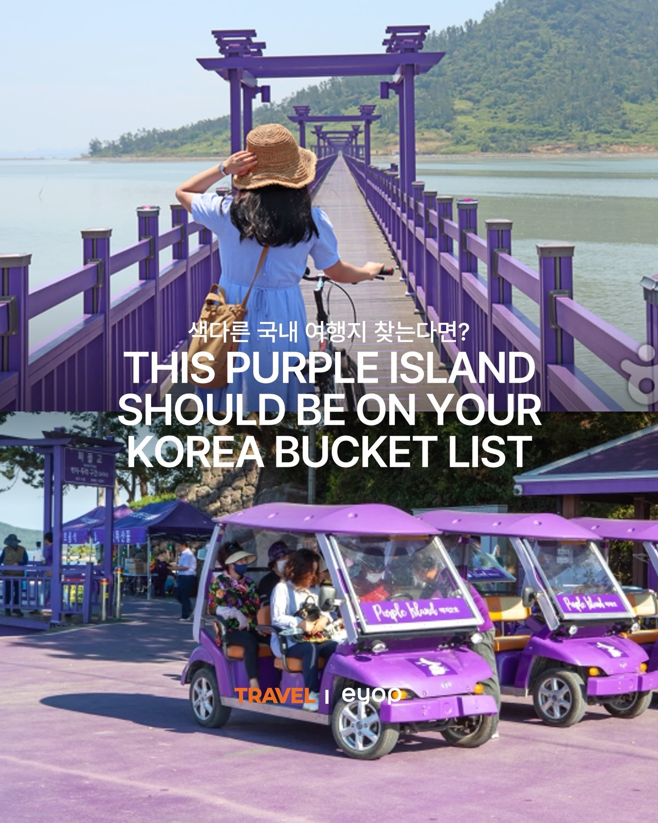 Korea's Purple Island Offers Unique Purple Scenery