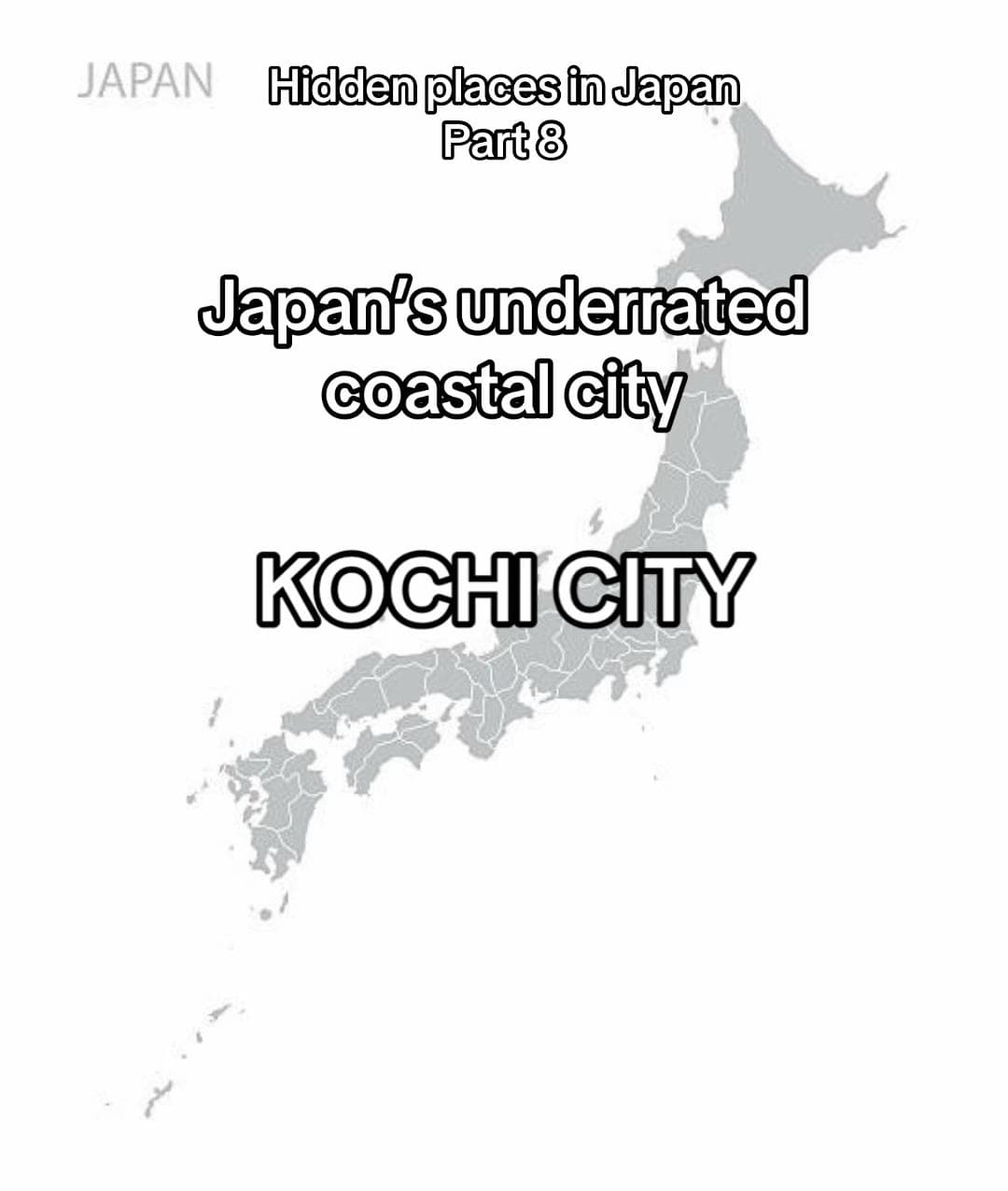 Kochi City: Castle, Market, and Coastal Charm