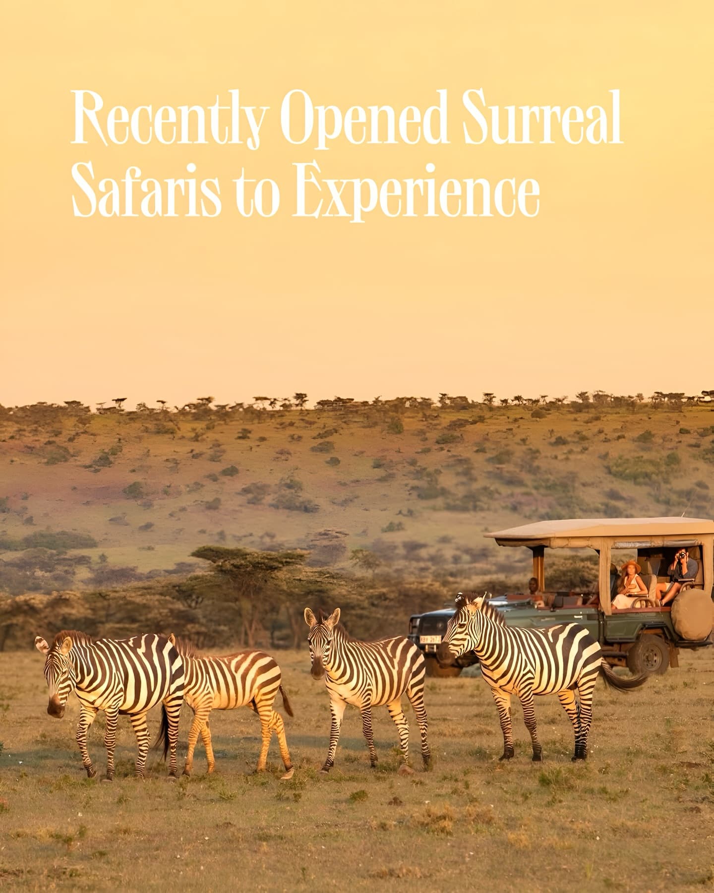 Newly Opened Safari Lodges Redefining Adventure