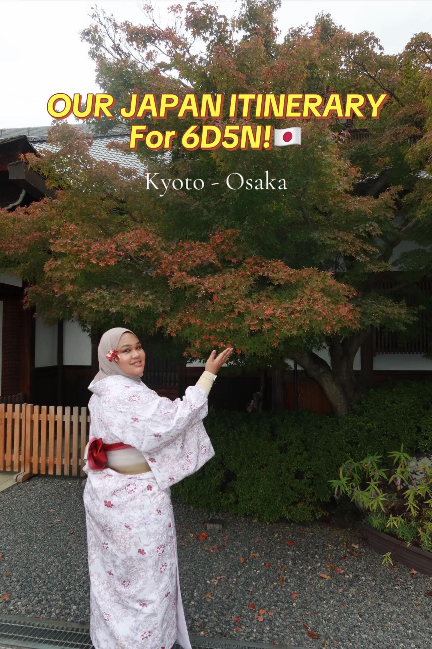 Kyoto and Osaka Travel Itinerary and Recommendations