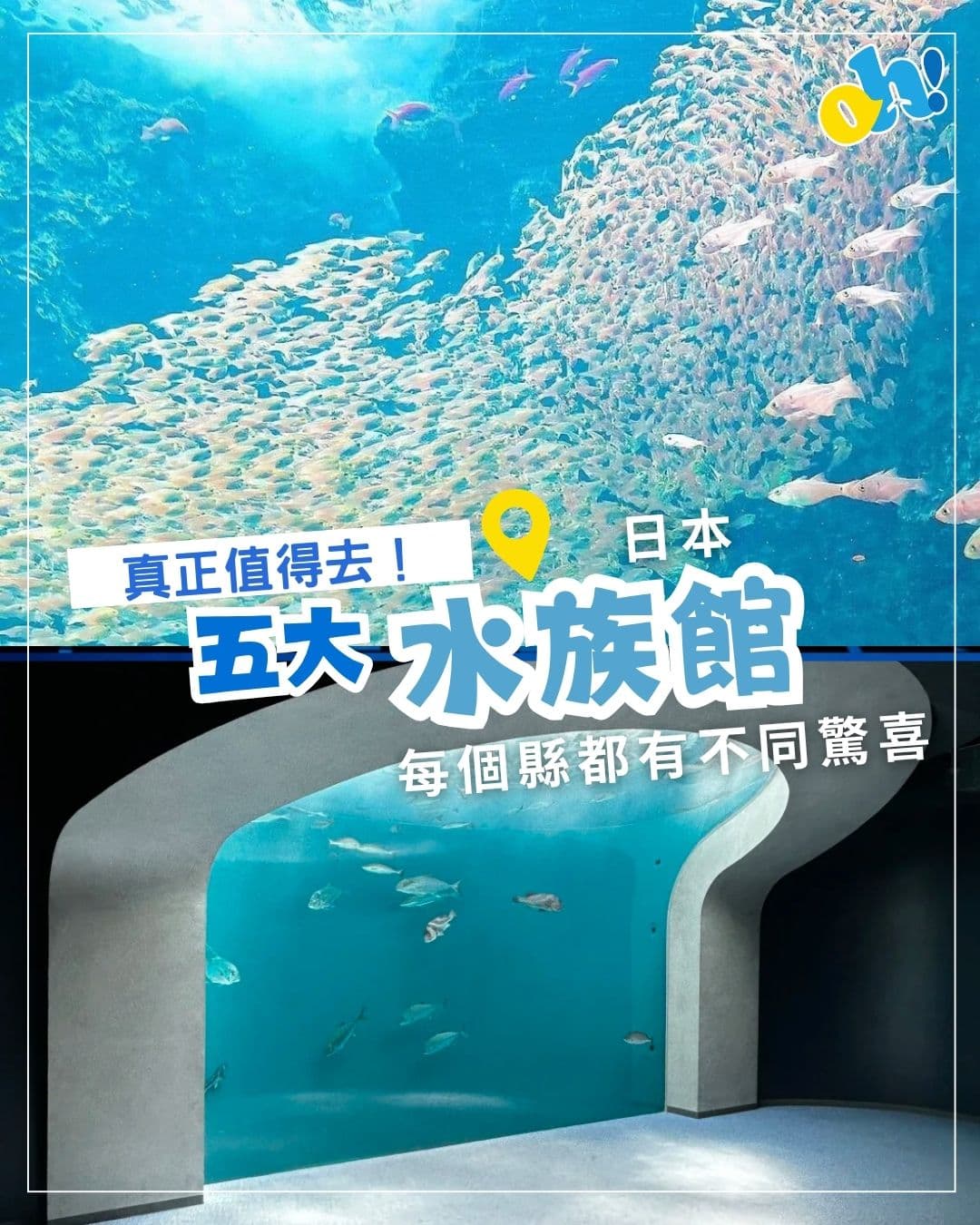 Five Must-Visit Aquariums in Japan