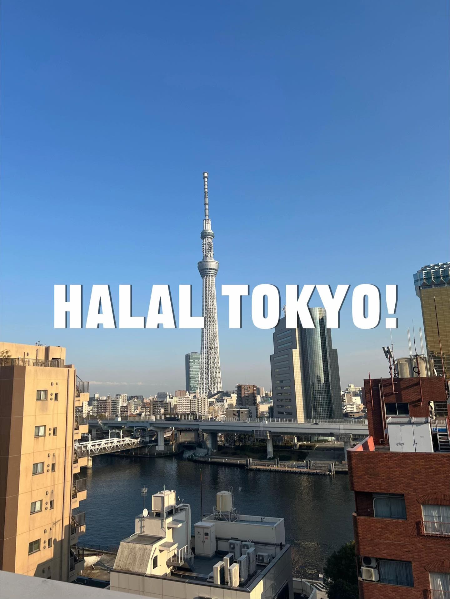 Halal Eats In Tokyo For Your Next Trip