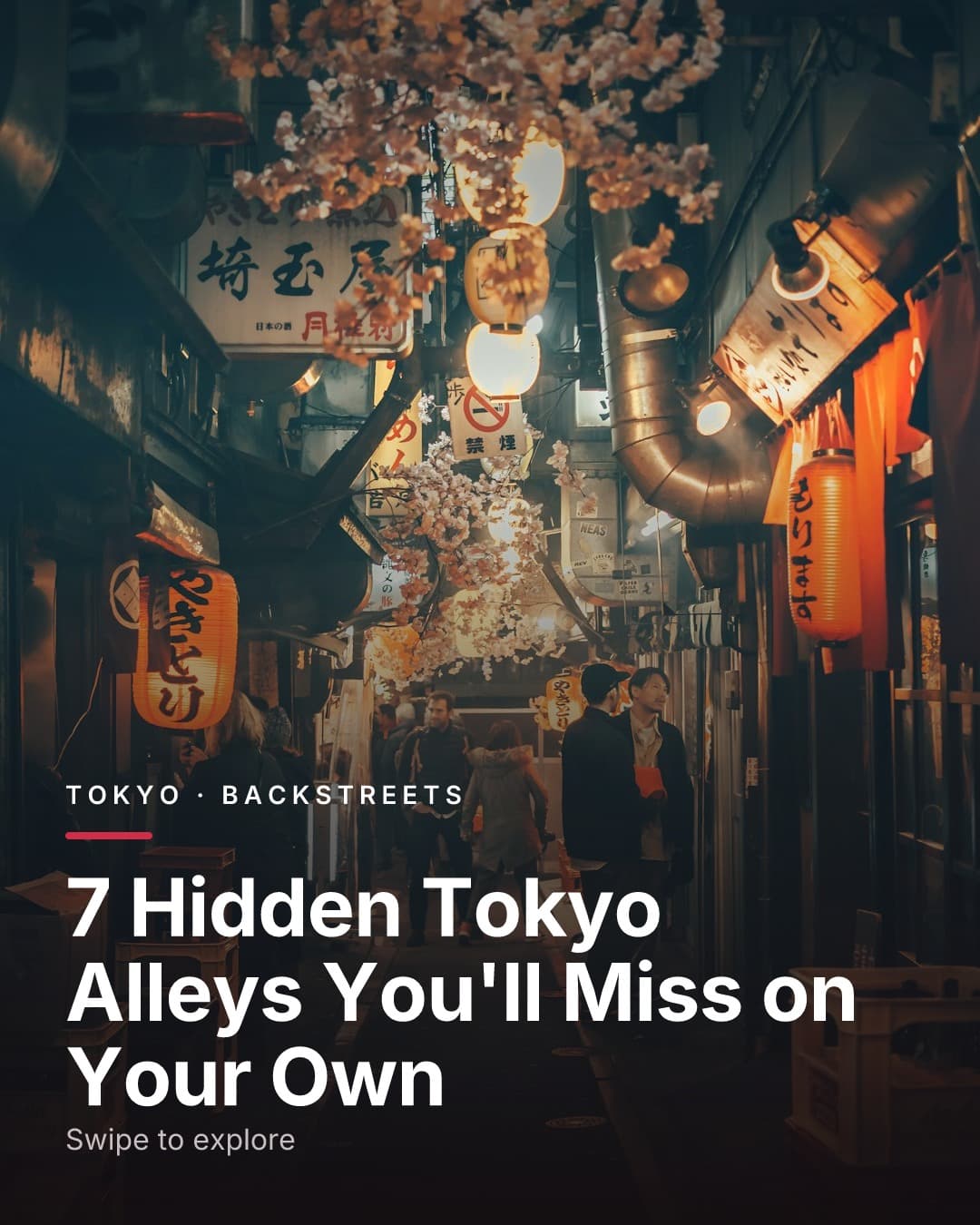 Hidden Alleys of Old Tokyo
