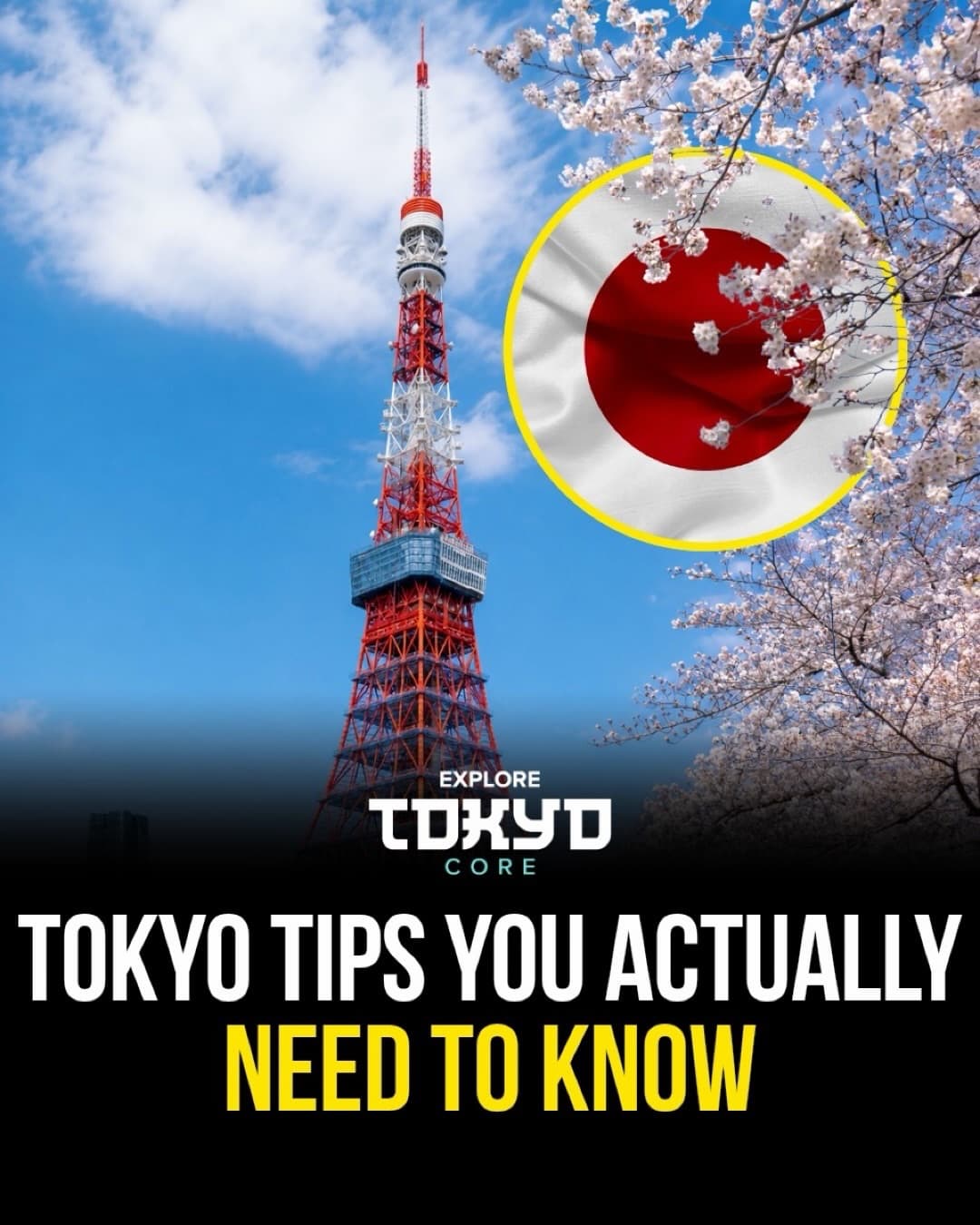 Tokyo's Essential Transport Hubs and Tips
