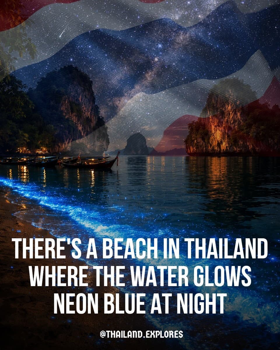 Thailand's Bioluminescent Beaches Light Up the Night