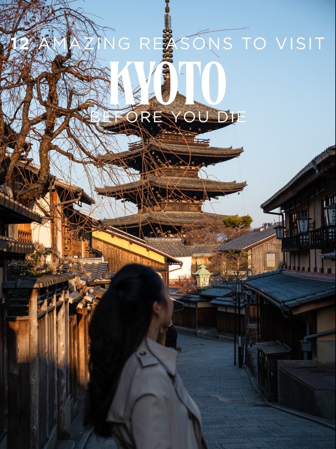 Kyoto's Temples, Shrines, and Natural Wonders