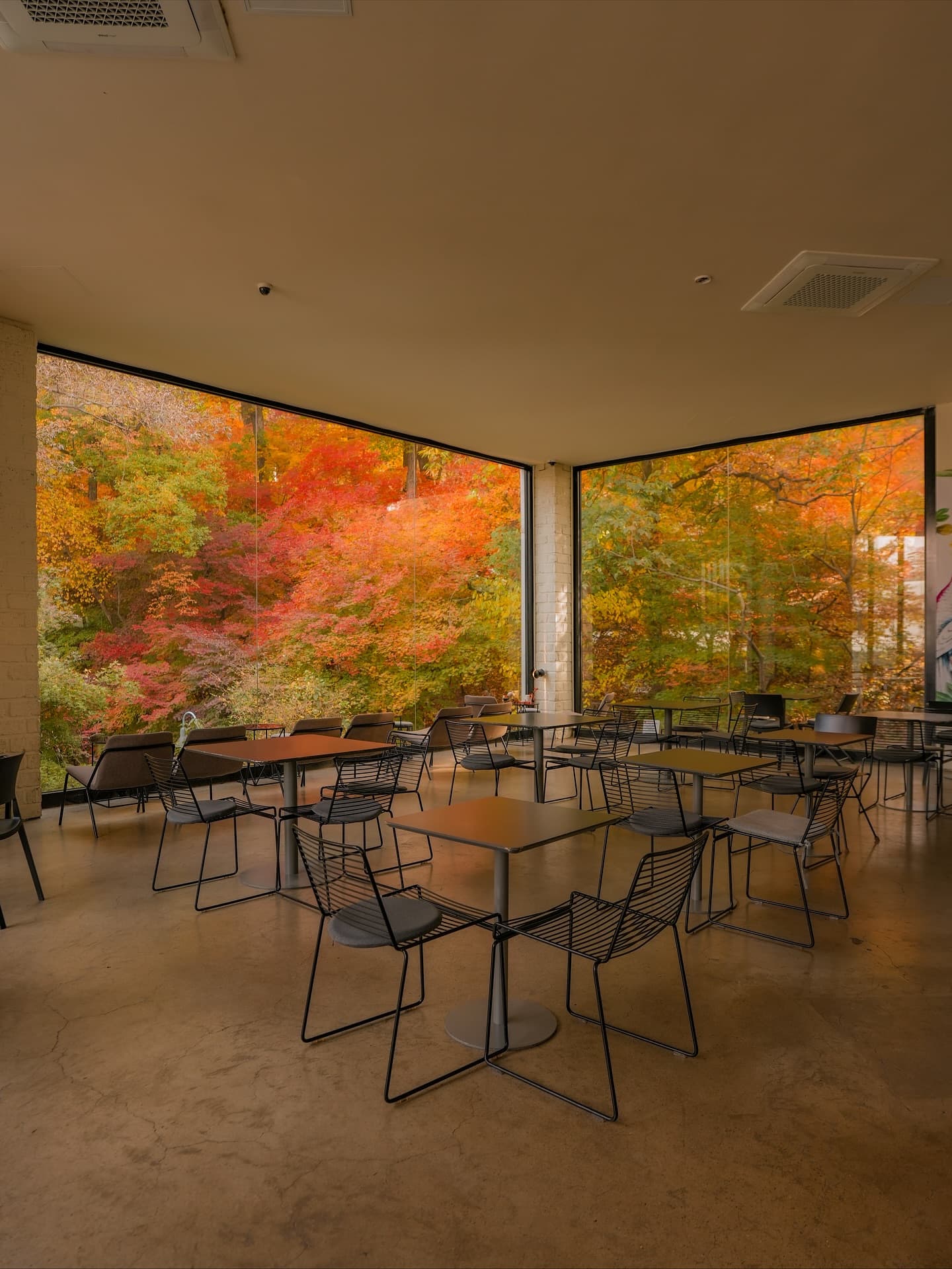 Autumn Scenery at Smeltz, Hwadamsup, and Myeongsudang