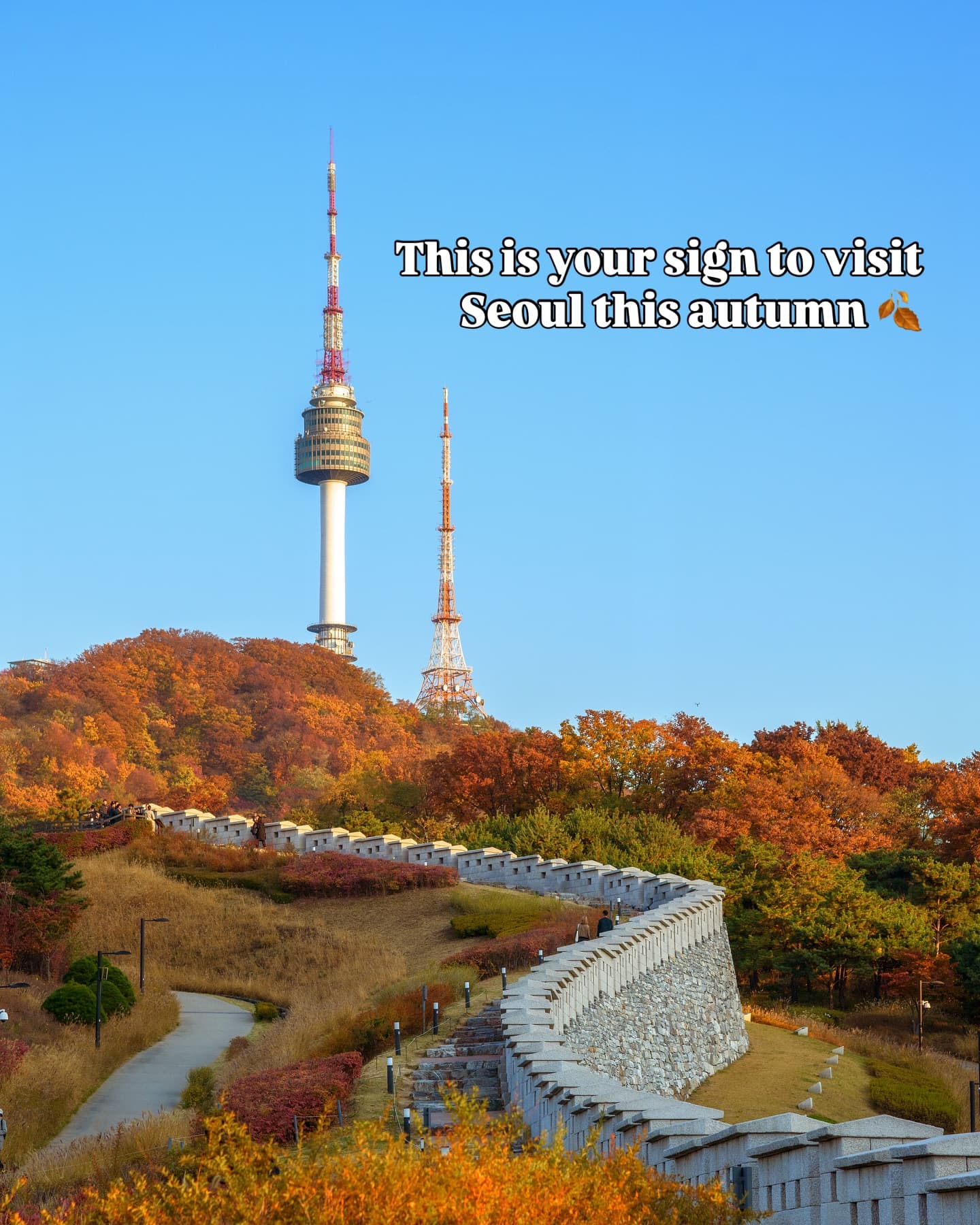 Seoul's Best Autumn Foliage Destinations