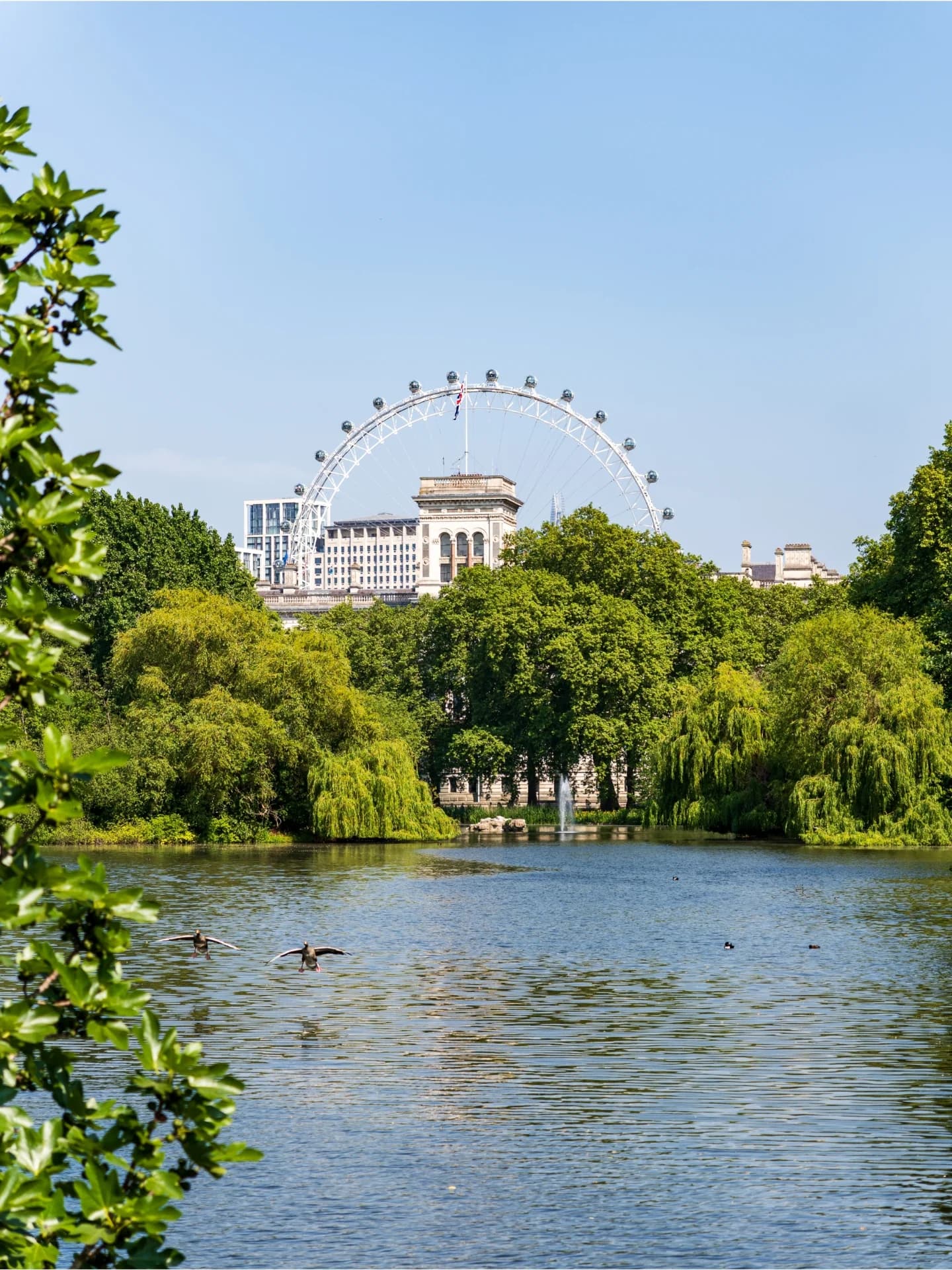London Eye Views From St. James Park
