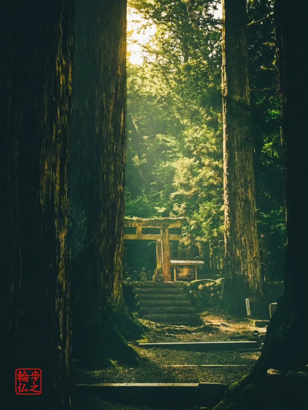 Sacred Koyasan's Peaceful Mausoleum Path