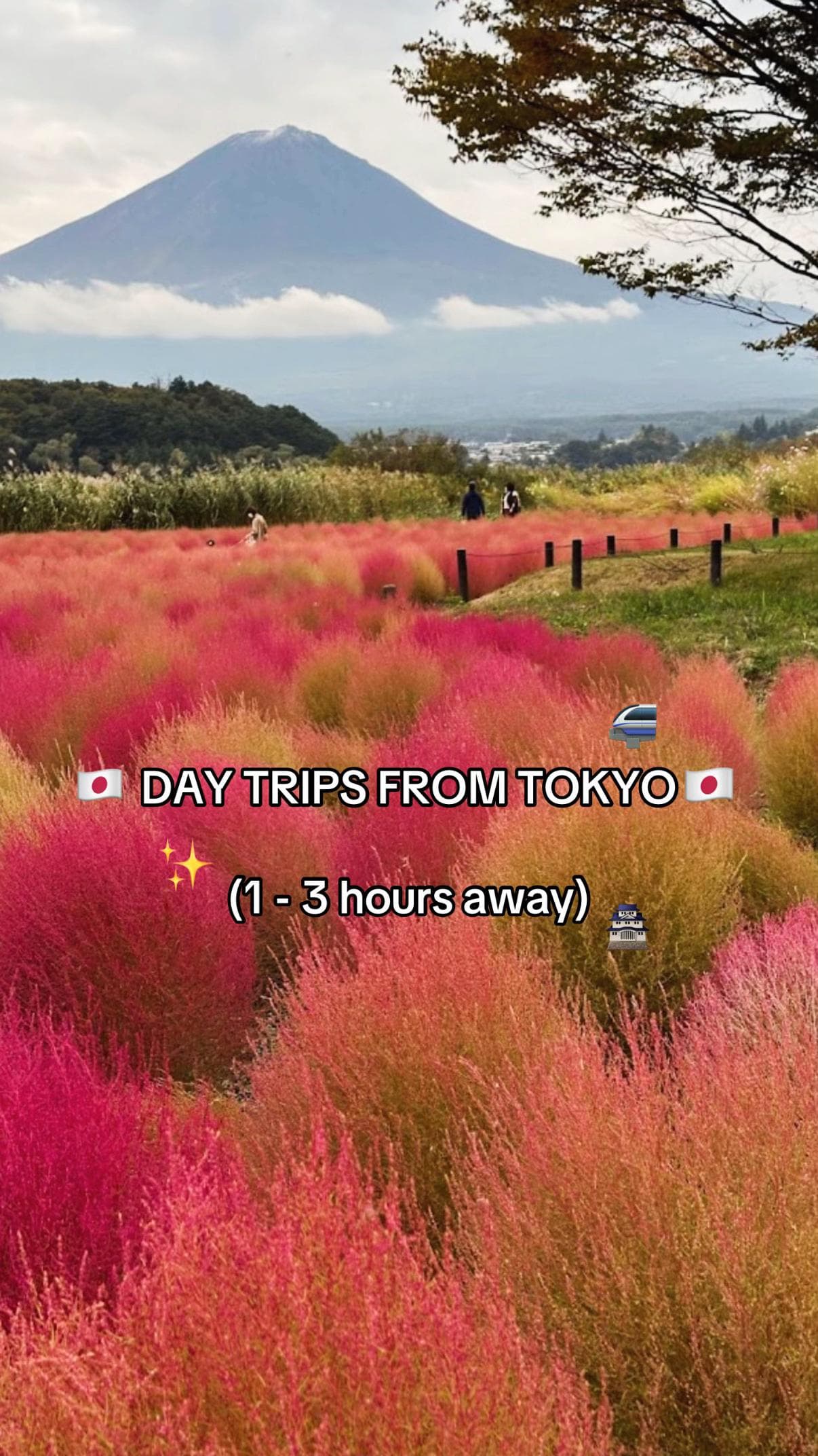 Tokyo Day Trips: Nature, Temples, and Charming Streets