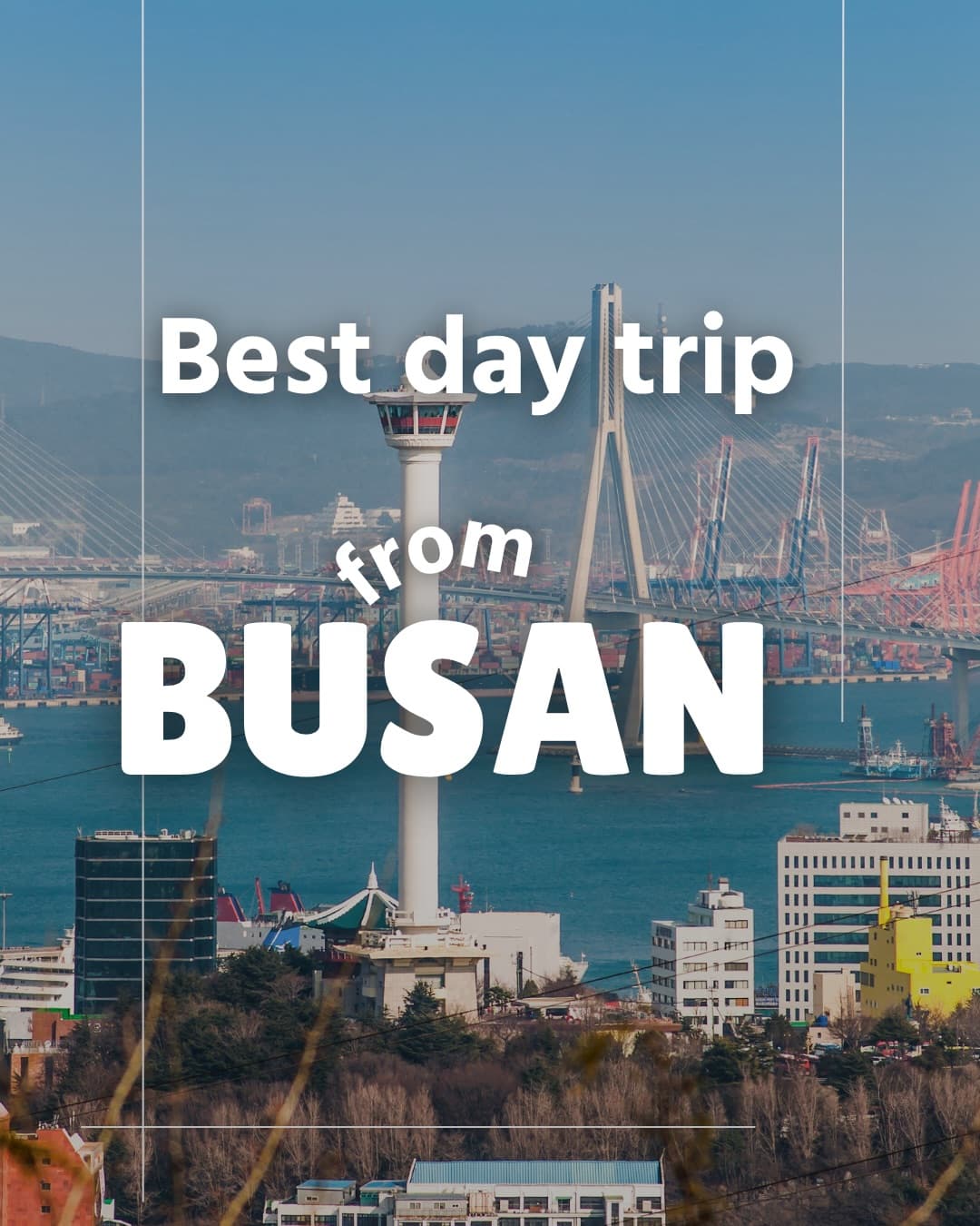 Day Trips From Busan: Gyeongju, Ulsan & Geoje