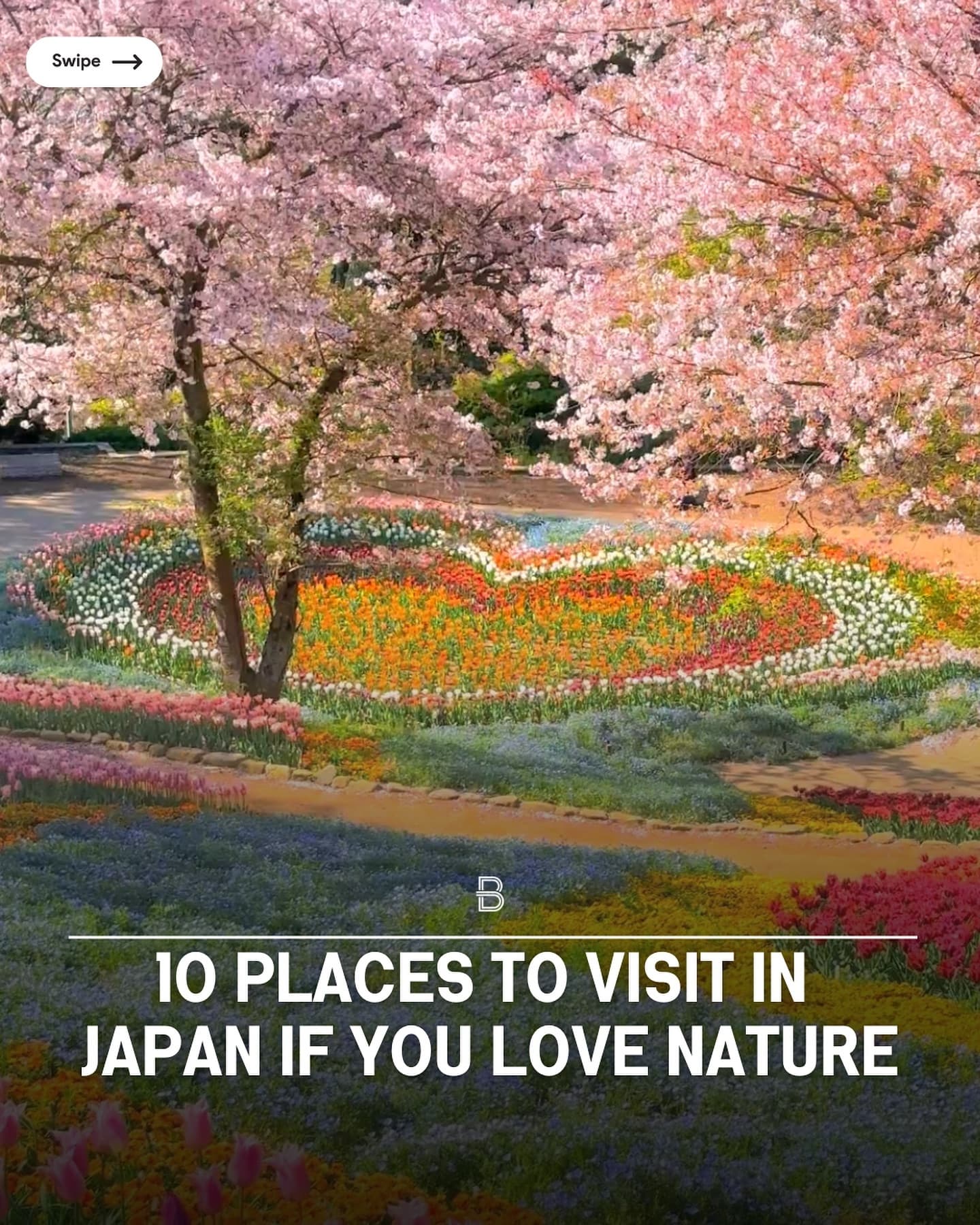 Stunning Japanese Destinations For Nature Lovers