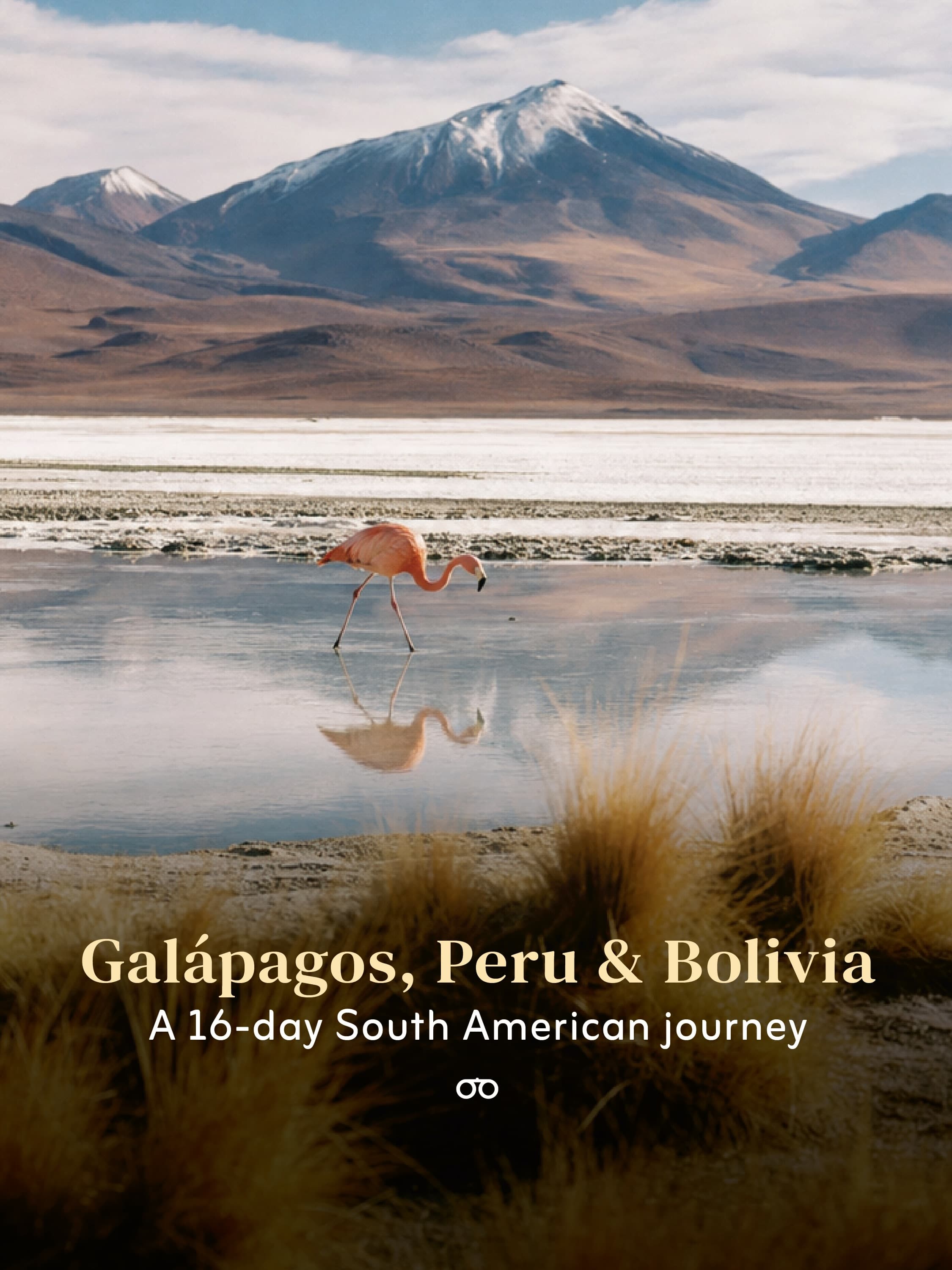 Galápagos, Peru, and Bolivia Adventure