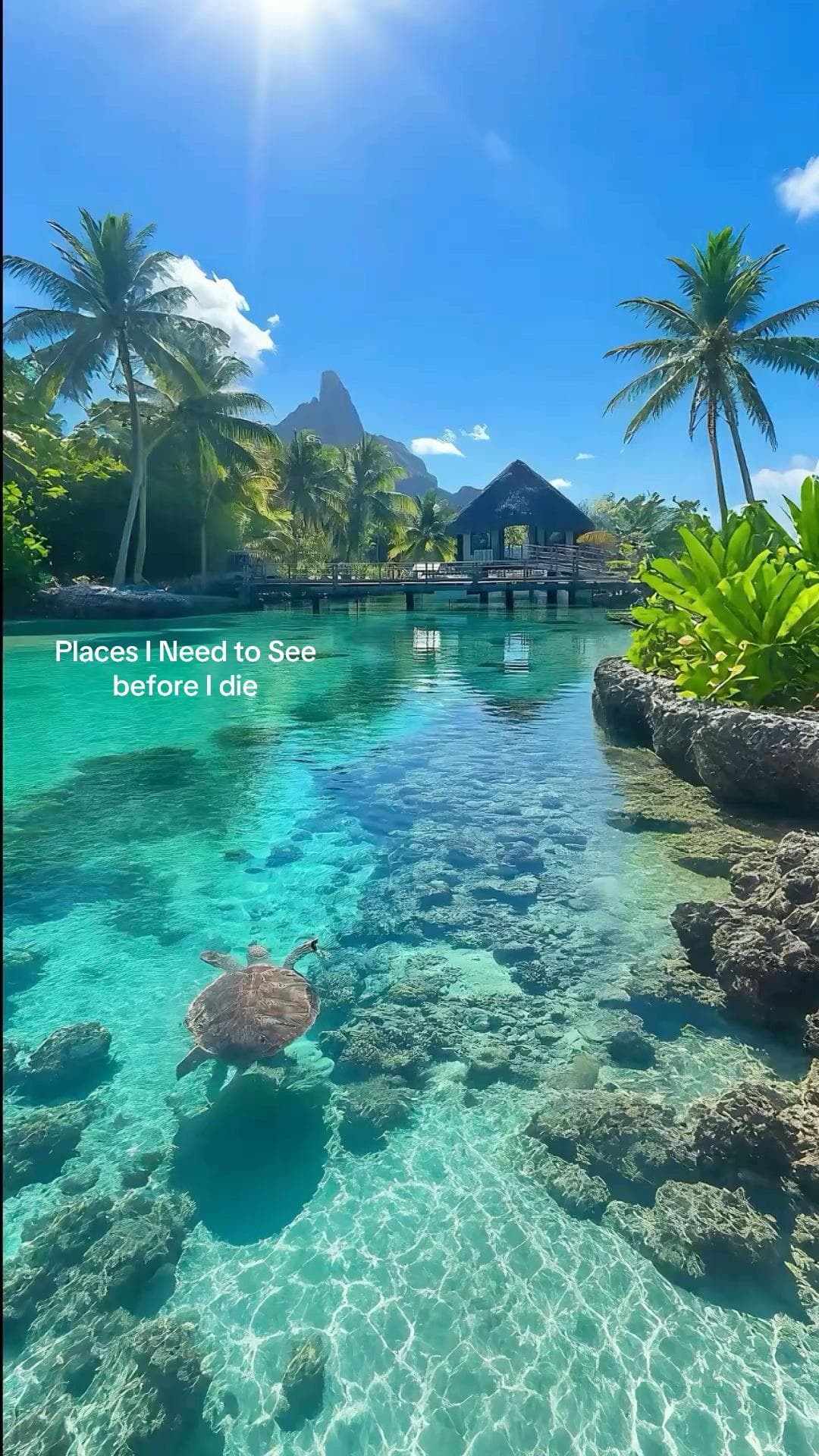 Natural Wonders And A Lost City