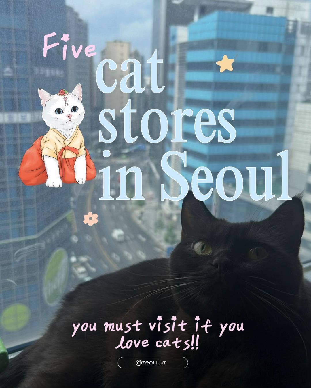 Cat Stores In Seoul