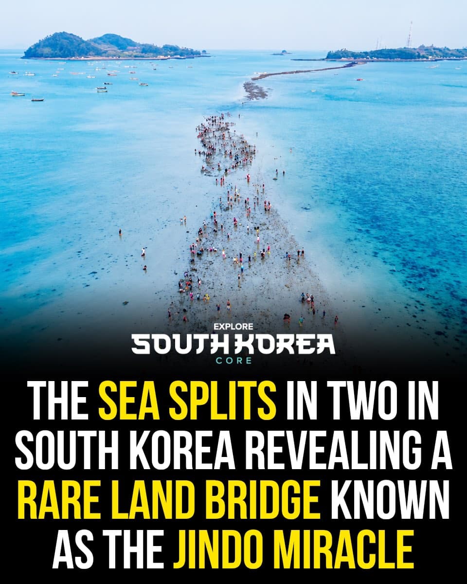 Jindo Miracle Sea Road Parting Phenomenon