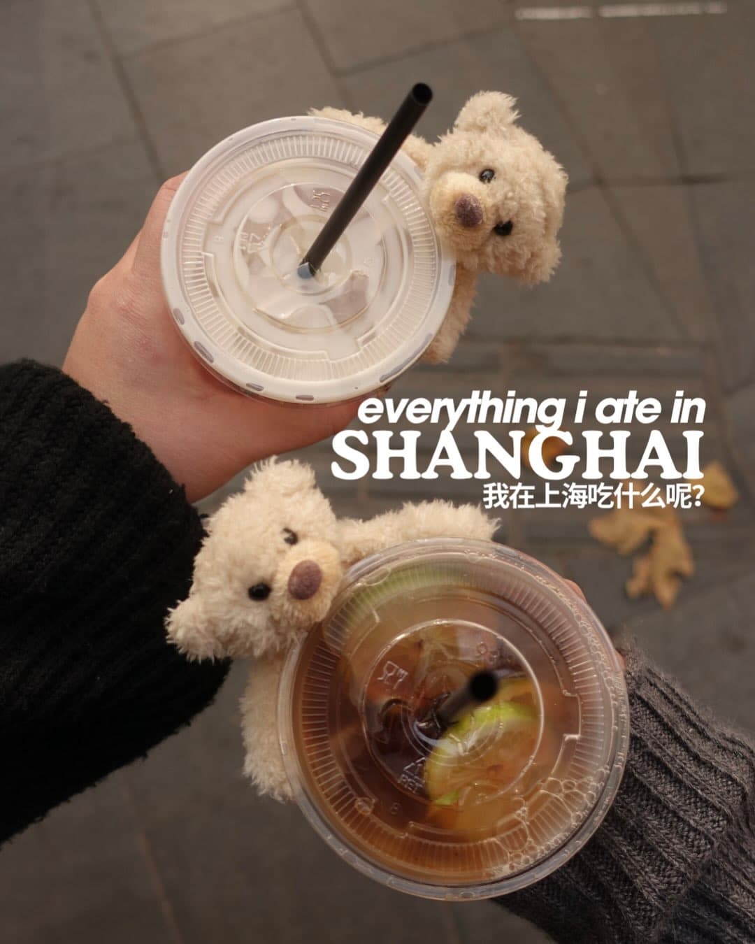 Shanghai Foodie Adventure: A First-Timer's Guide