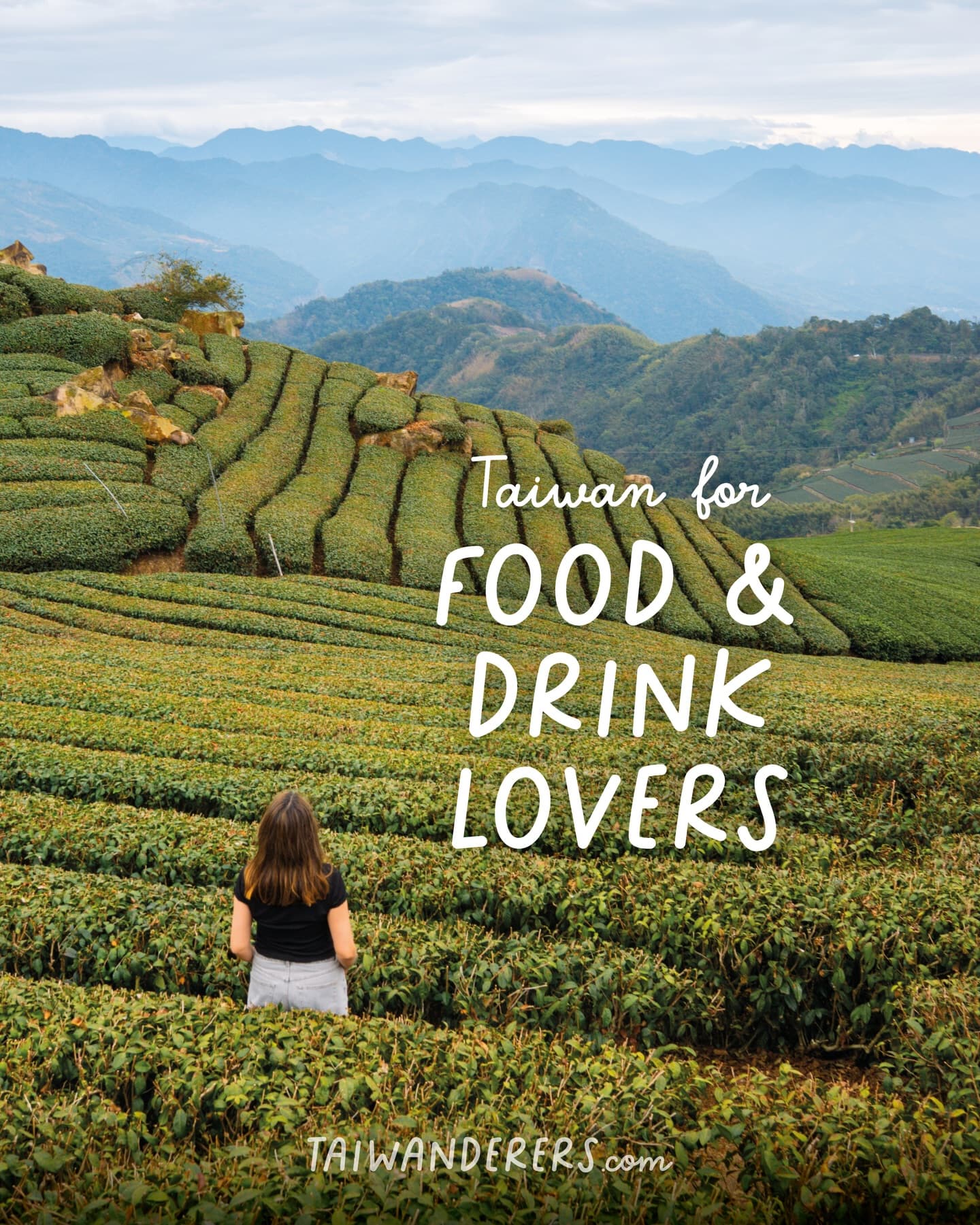 Taiwan Food And Drink Experiences