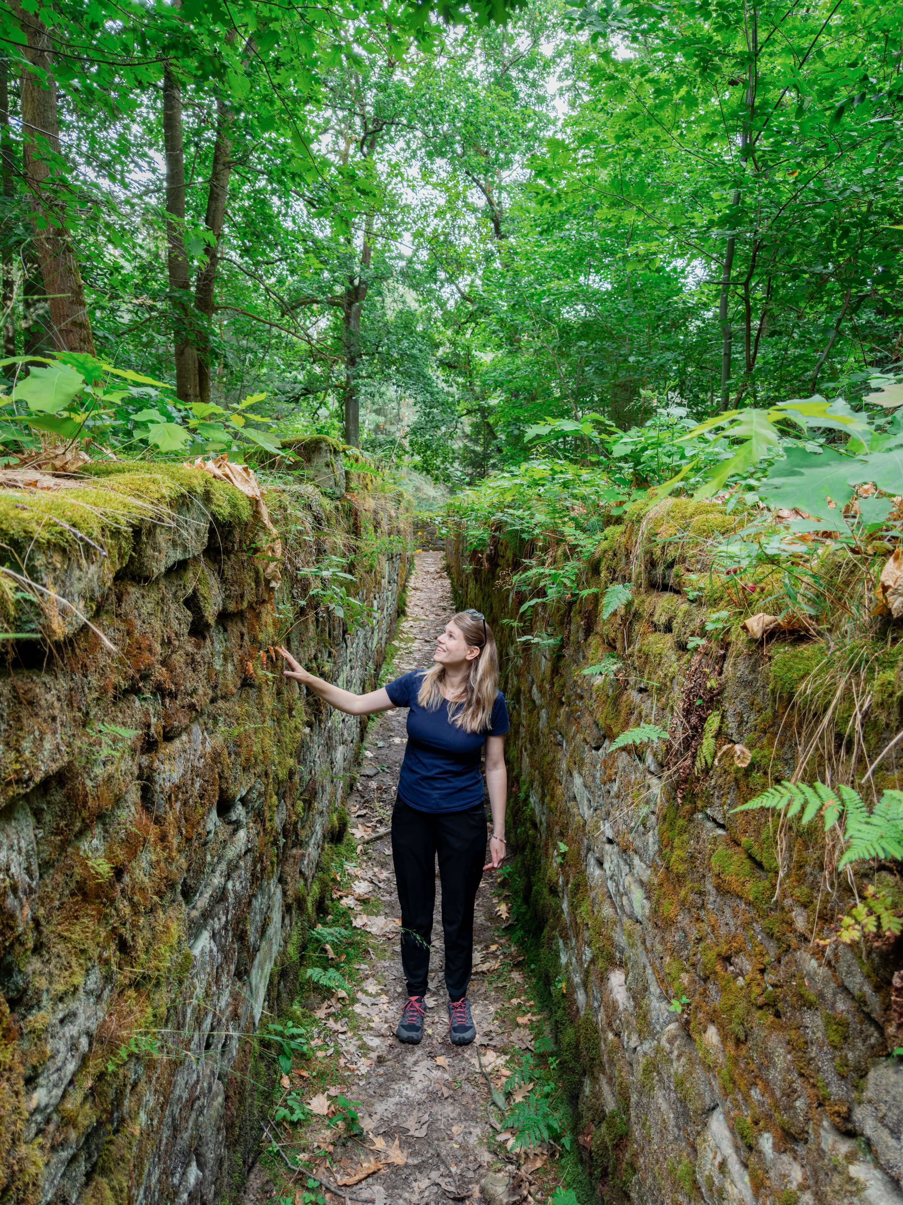Saale-Unstrut: Castles, Mazes, Mills, and Lakes