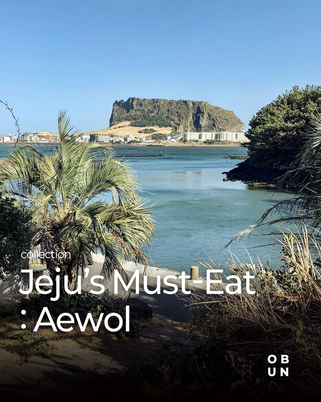 Trendy Dining Spots in Aewol, Jeju