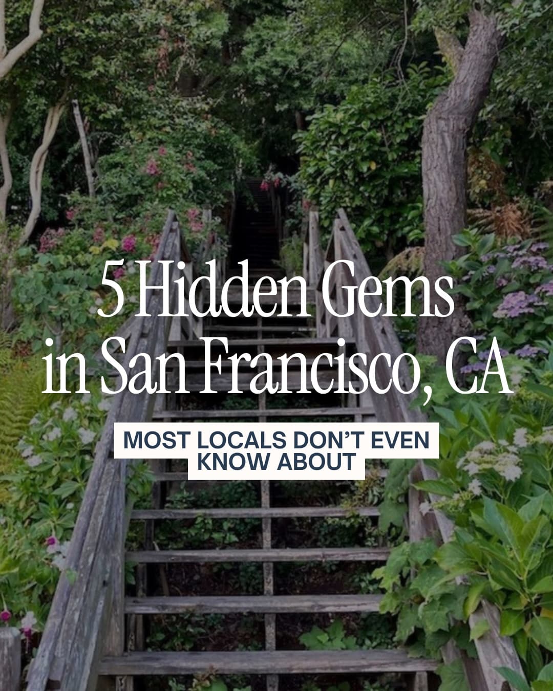San Francisco's Secret Spots And Hidden Gems