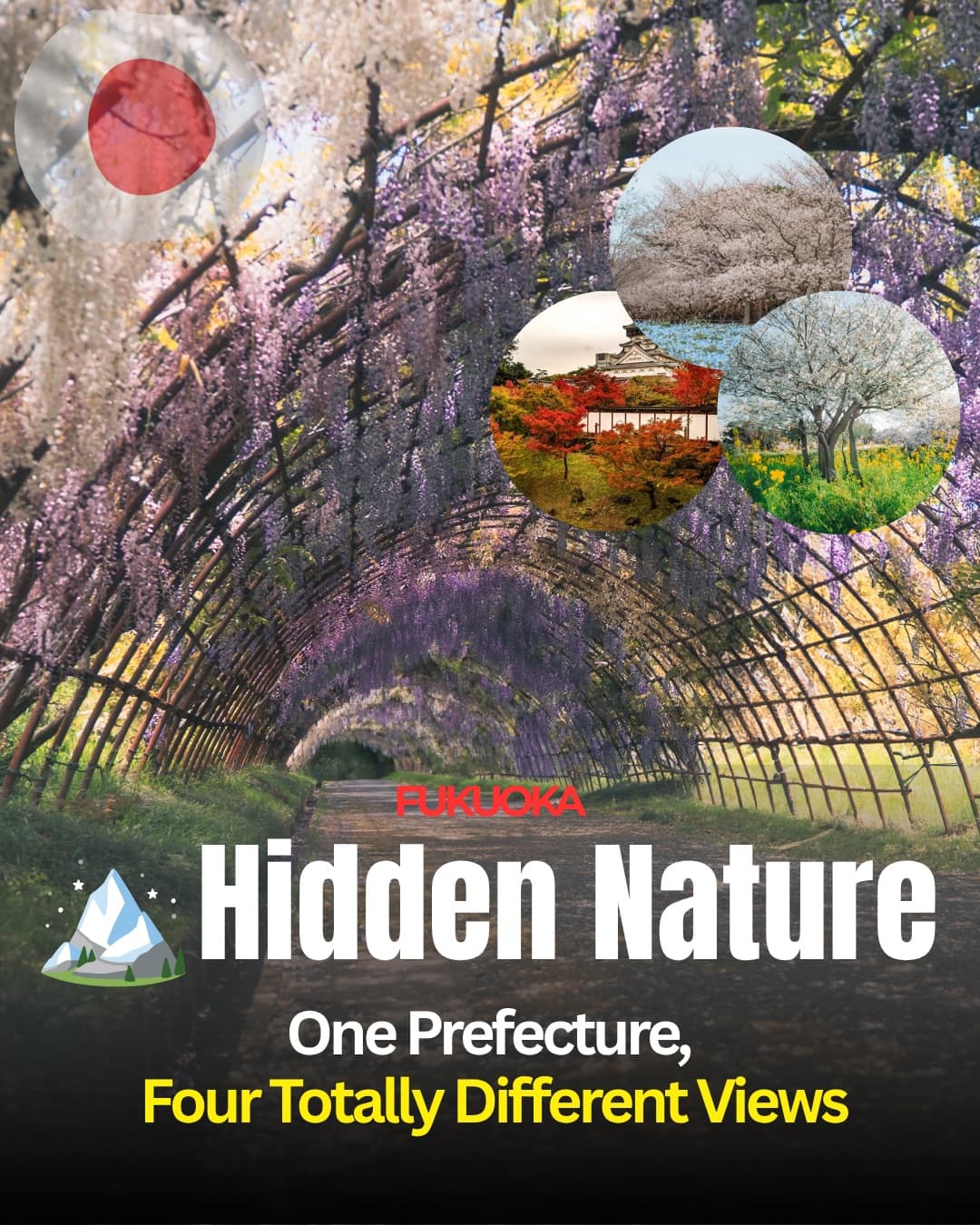 Fukuoka's Seasonal Sights Across Four Locations