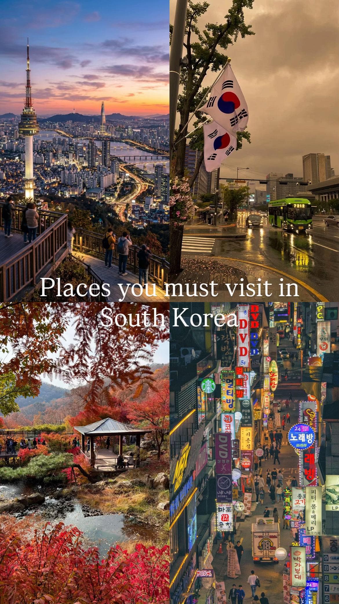 Seoul And Busan's Top Attractions