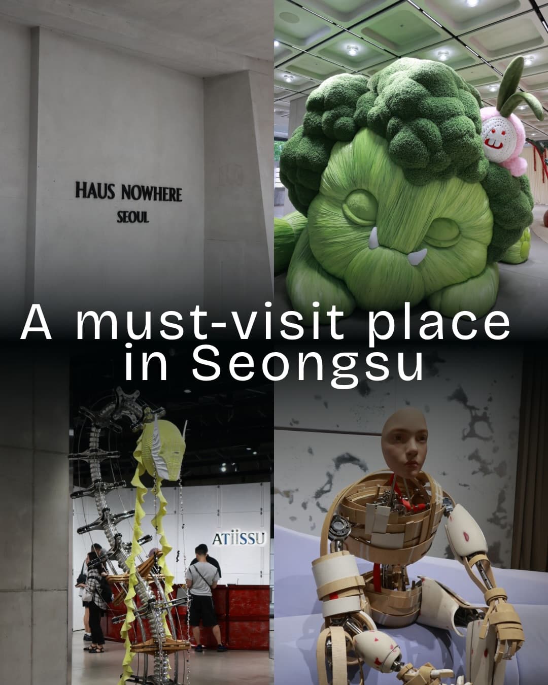 Gentle Monster's Multibrand Wonderlands