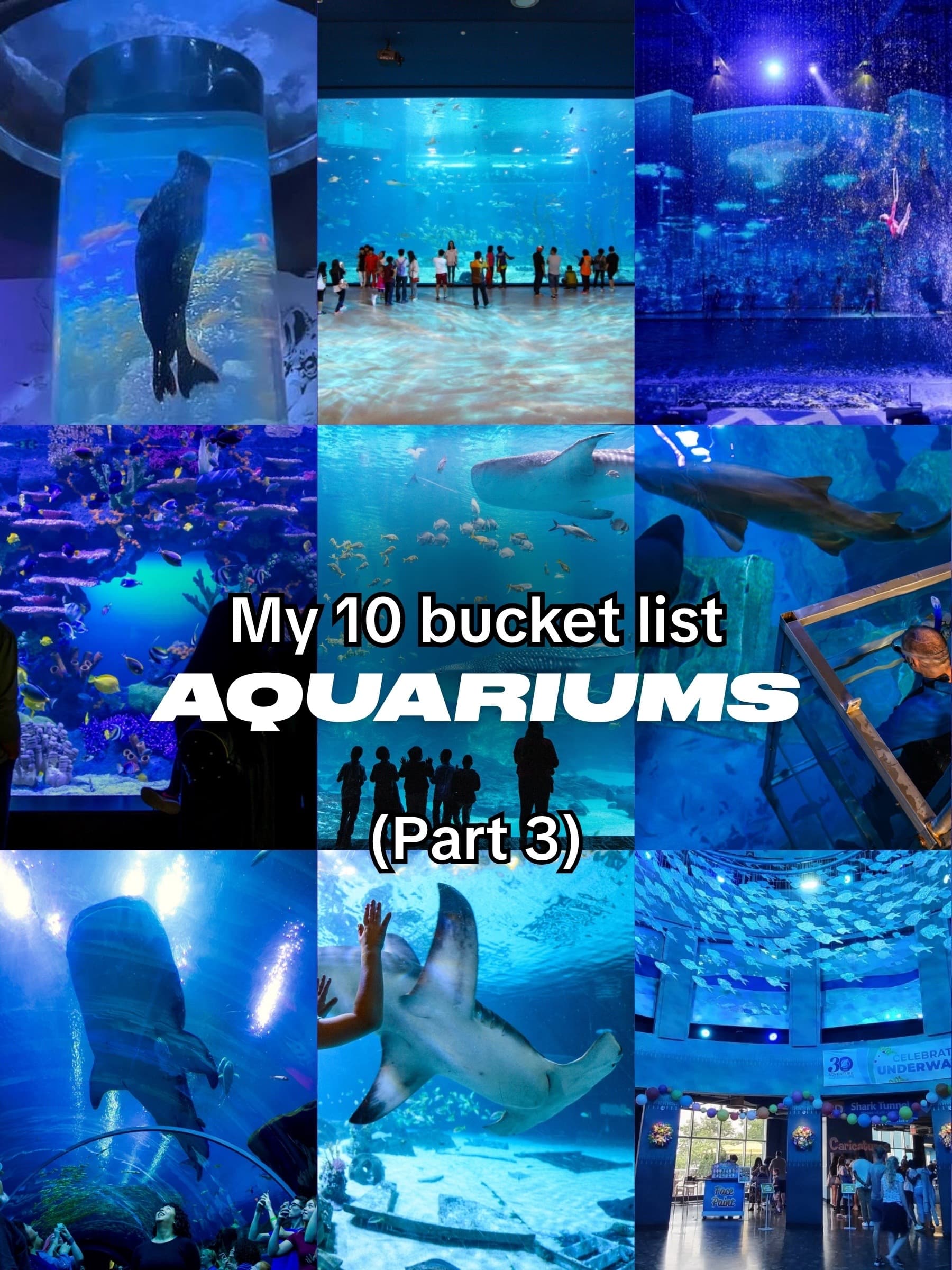 Global Aquariums For Your Bucket List