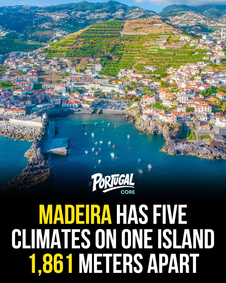 Madeira's Diverse Climates From Sea to Sky