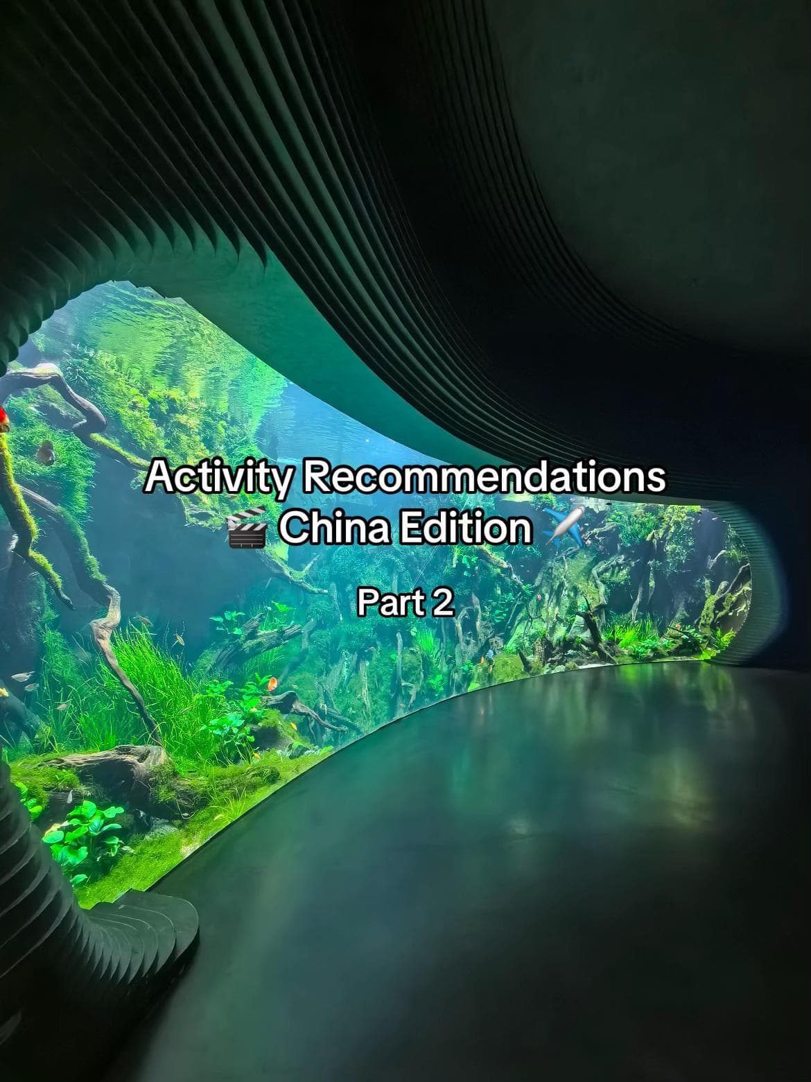 China Attractions: Towers, Gardens, Museums, and More