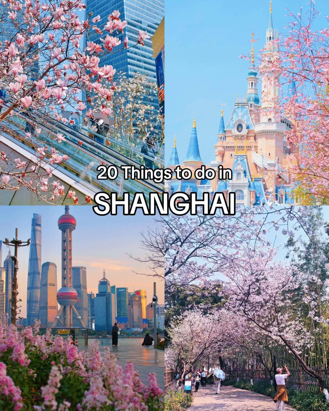 Shanghai's Top 20 Experiences Captured