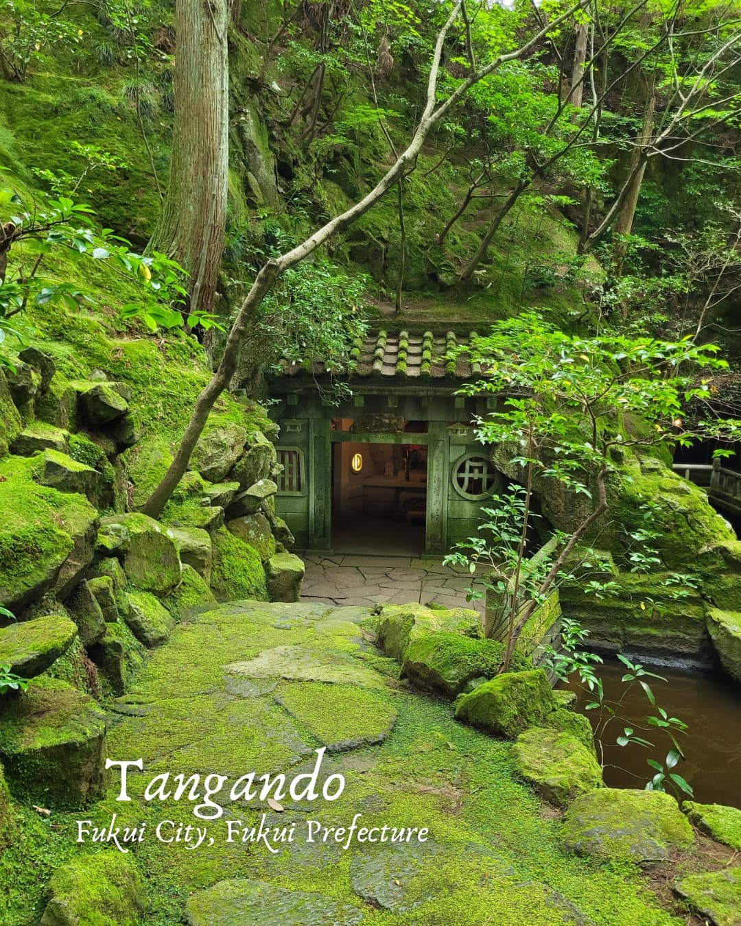 Tangandou: Fukui City's Moss Garden Hermitage