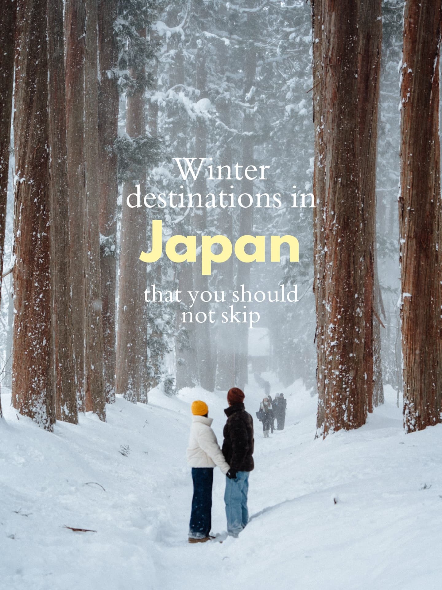 Must-See Japanese Winter Destinations