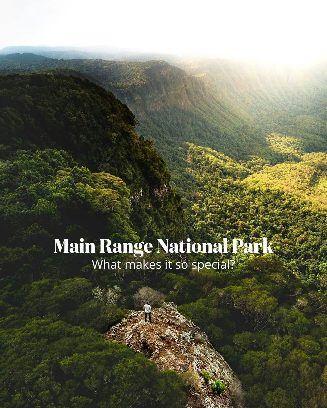 Main Range National Park's Scenic Rim Trails