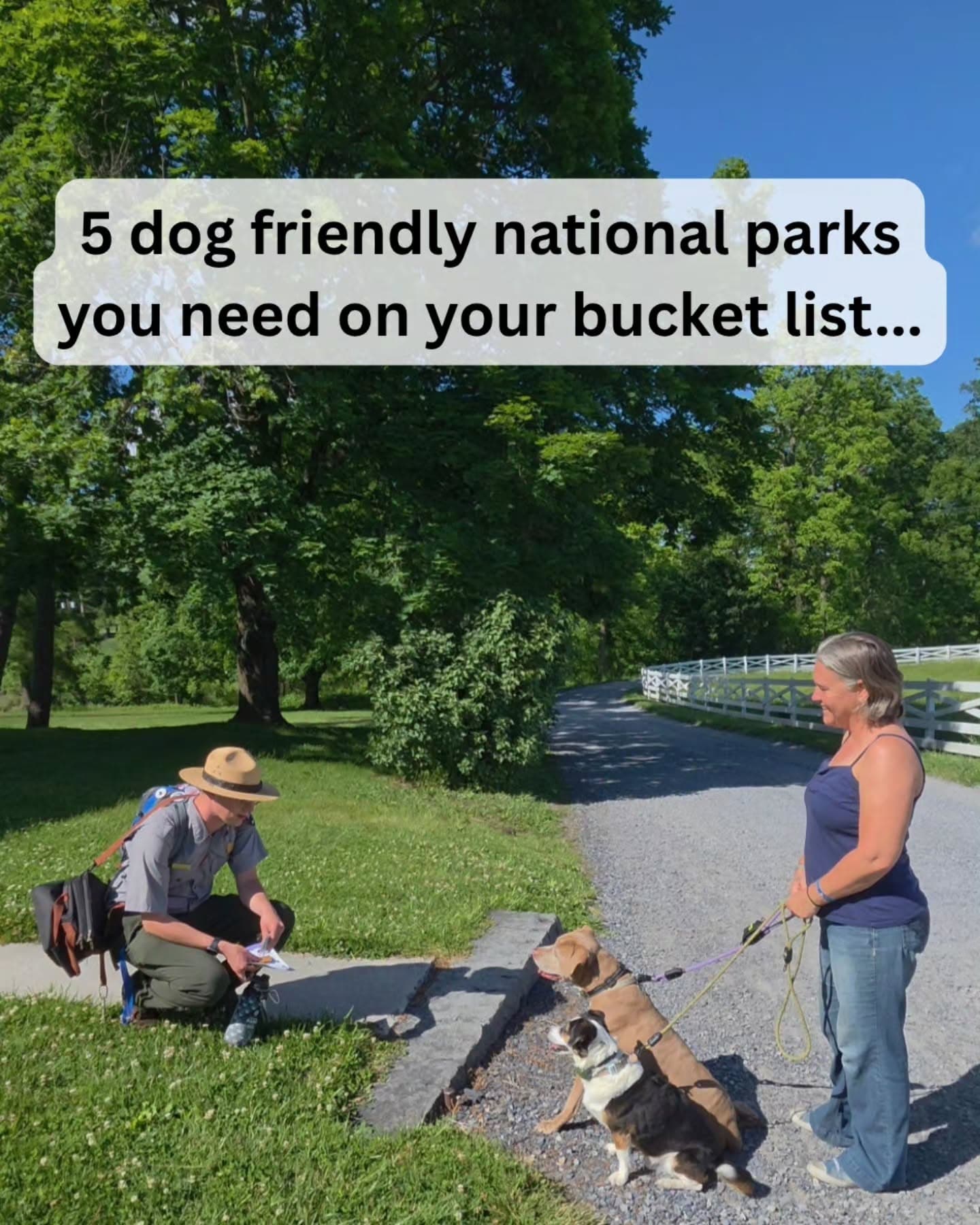 Top National Parks For Exploring With Your Dog