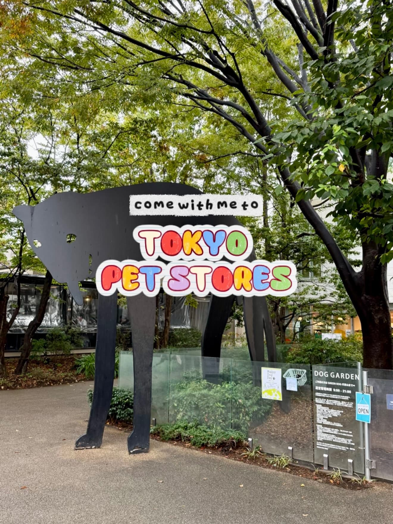 Tokyo's Unique Pet Stores and Souvenir Shops
