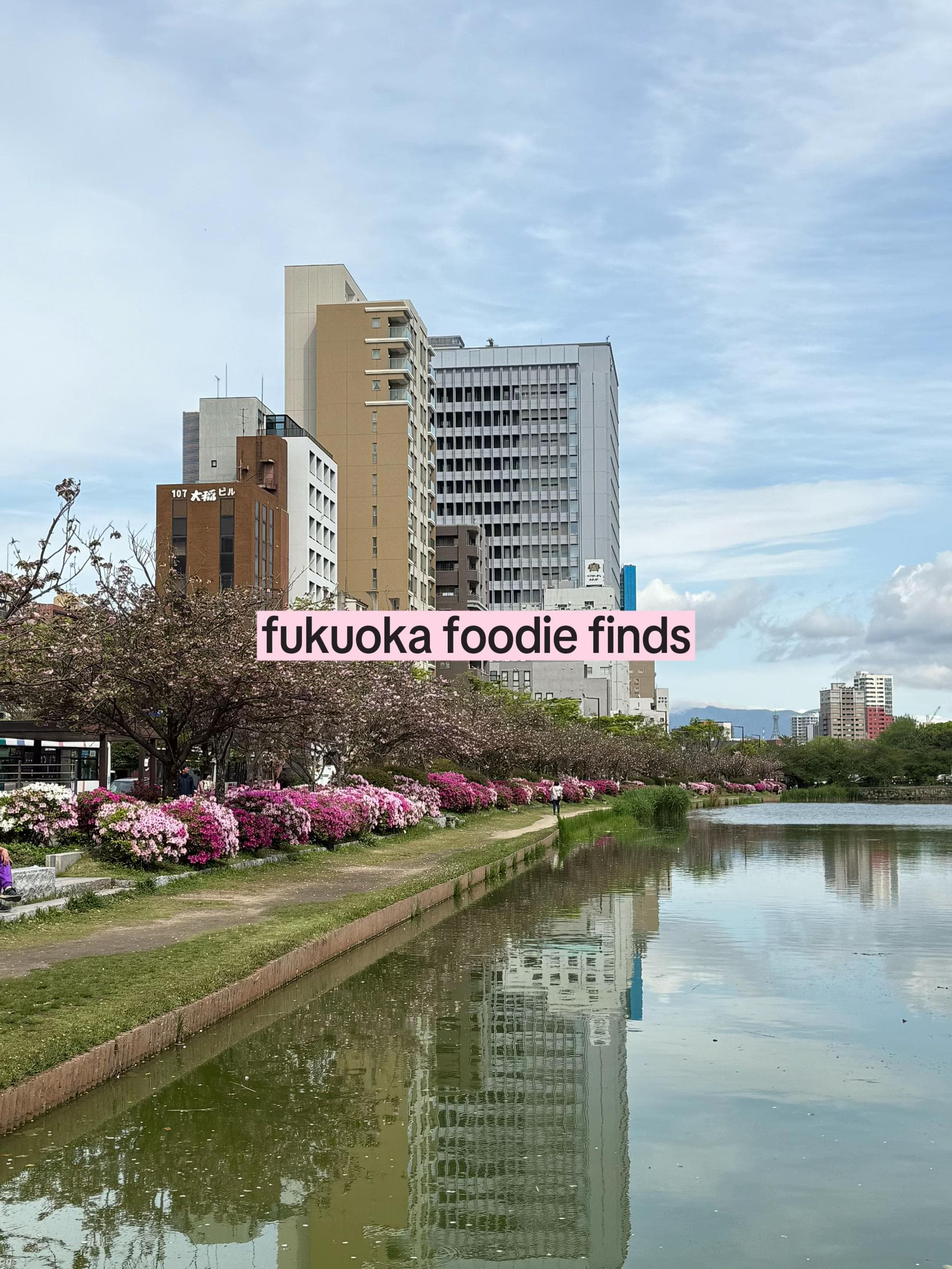 Food and Shopping Spots in Hakata