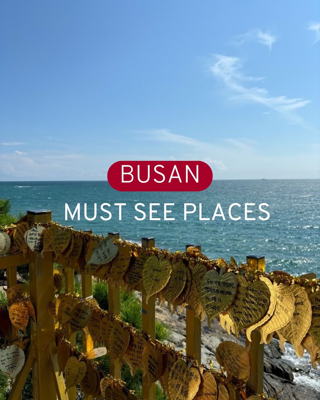 Discover Busan's Coastal Charm And City Views