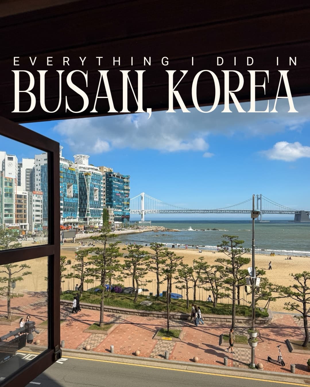 Busan's Coastal Charm: Beaches, Culture, and Cuisine