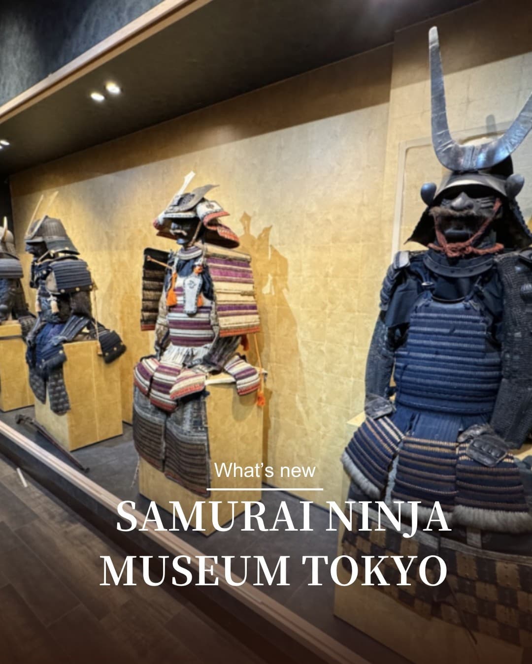 Tokyo Samurai Ninja Museum And More