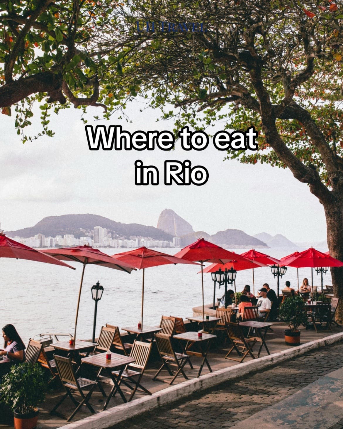 Top Restaurants for Meat Lovers