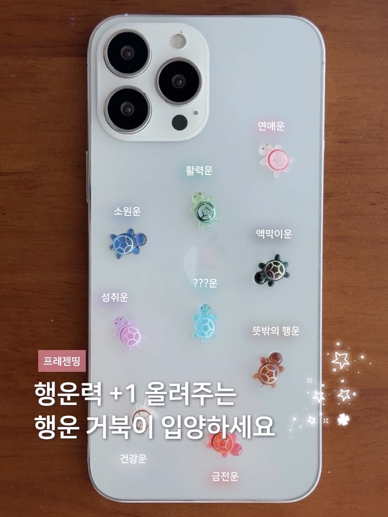 Lucky Turtle Charms At Busan Shops