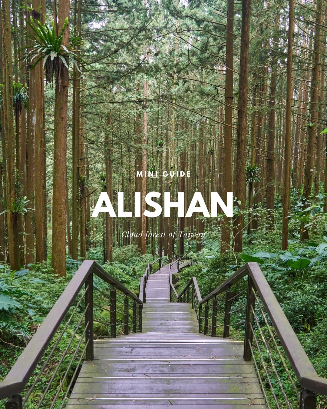 Alishan and Tainan: A Taiwan Alpine Railway Journey