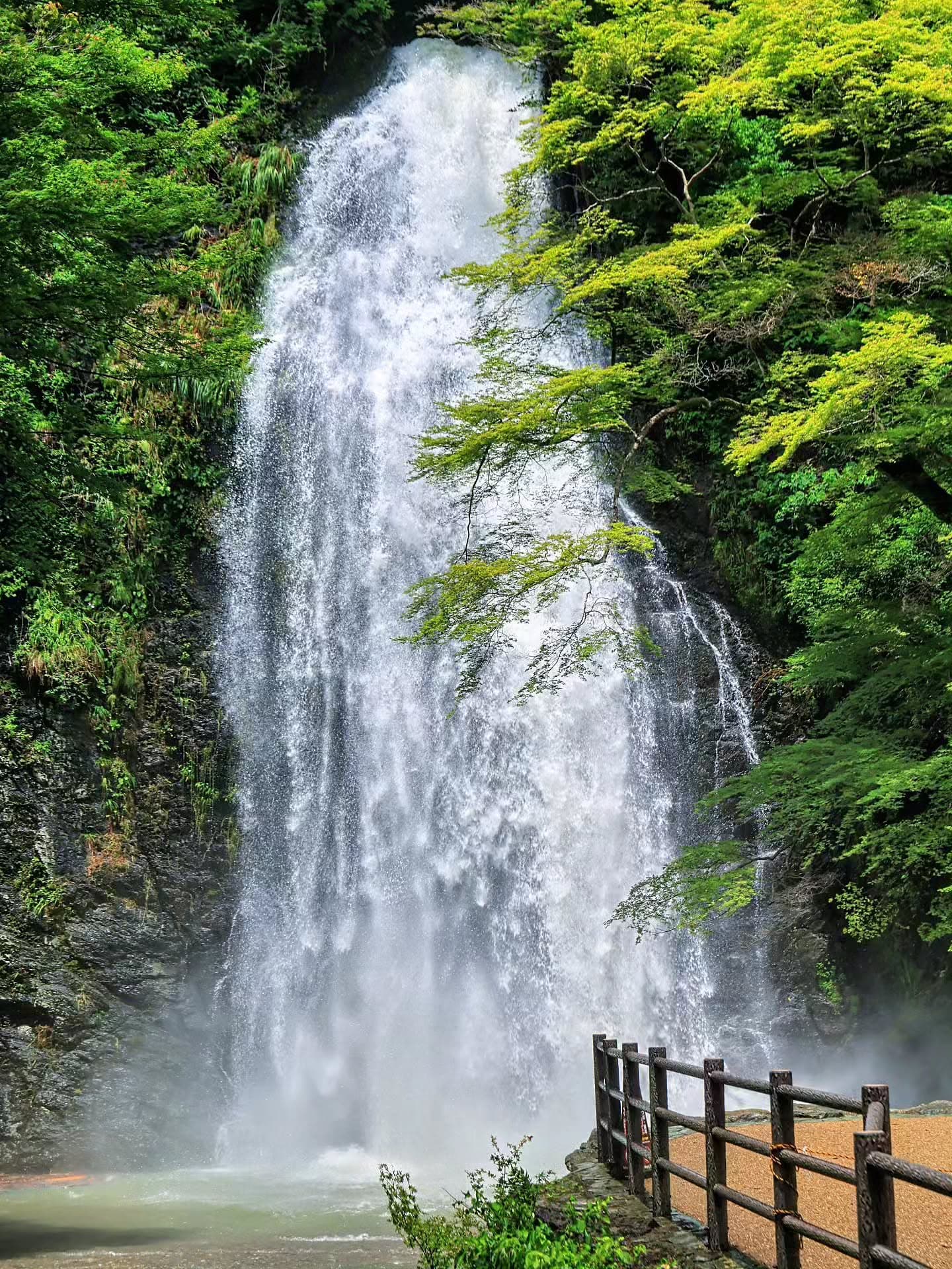 Minoh Park: Increased Tourists and Challenging Detour
